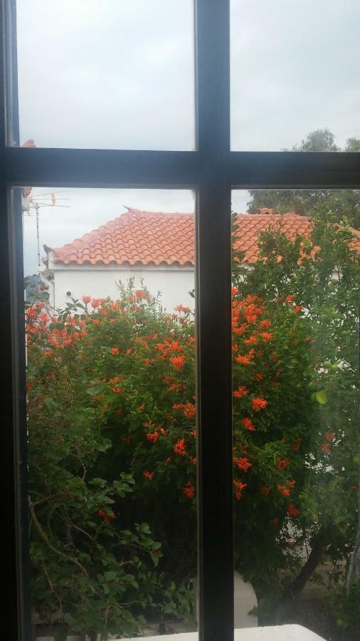 Window To The Aegean Villa Velanidia Eksteriør bilde